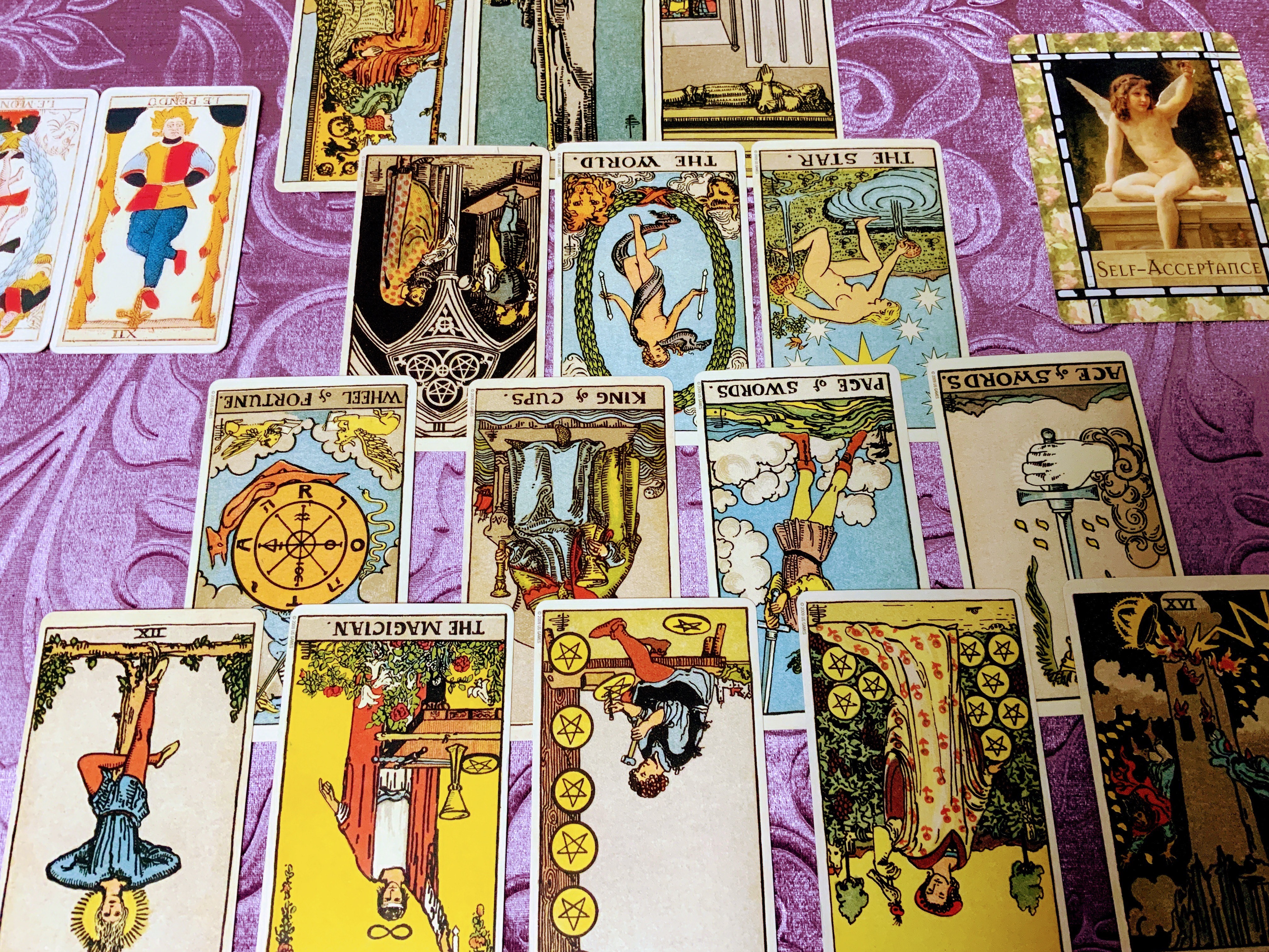 占い師葉ノ宮のお気に入り写真2